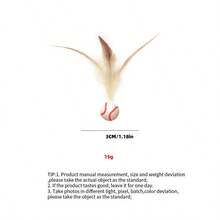 PETSIN 创意十足的硅胶材质篮球、足球、棒球和猫玩具，弹性极佳，适合与猫咪互动玩耍。 - 彩色 - 查看 11