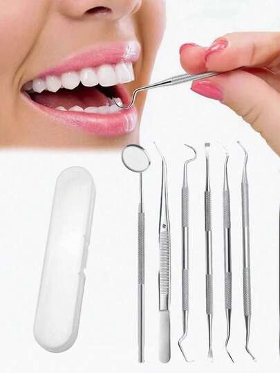 Bộ 3/6 món, Bộ dụng cụ vệ sinh răng miệng chuyên nghiệp, Tăm xỉa răng bằng thép không gỉ, Dụng cụ cạo mảng bám, Dụng cụ loại bỏ mảng bám, Thích hợp cho nha sĩ, cá nhân và thú cưng, Đi kèm hộp đựng, Vật dụng cần thiết cho mọi gia đình, và là món quà tuyệt vời cho bạn bè và người thân.