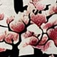 Nhiều màu