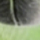 彩色