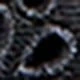 Black canvas