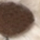 彩色