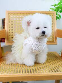 PETSIN 一件猫狗通用服装，蕾丝花朵提花网纱公主风婚纱，优雅猫狗新娘礼服 - 米色 - 查看 6