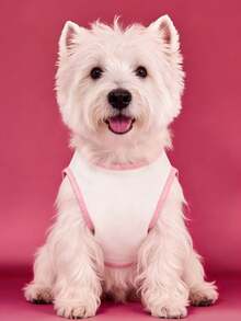 Mean Girls | SHEIN 可爱卡通印花宠物背心，猫狗通用，尺码从 XXS 到 XXXXXL（XS 到 XL）。 - 白色 - 查看 3