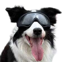 Goggles Specifically For Medium And Large Dogs, Sunscreen, Windproof, Waterproof, Dustproof, Drop-Resistant, Anti-Fog, Equipped With Adjustable Straps, Suitable For Driving, Motorcycling, Swimming, Surfing, And Other Occasions - Multicolor - View 1