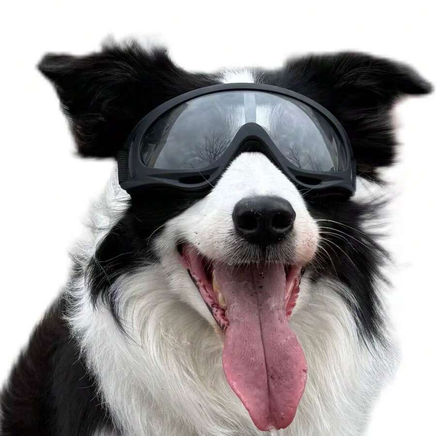 Goggles Specifically For Medium And Large Dogs, Sunscreen, Windproof, Waterproof, Dustproof, Drop-Resistant, Anti-Fog, Equipped With Adjustable Straps, Suitable For Driving, Motorcycling, Swimming, Surfing, And Other Occasions - Multicolor - View 1