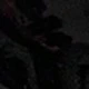 Shining Night Black