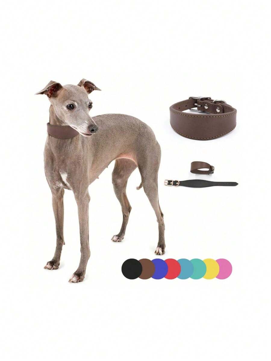 1件装真皮狗项圈,柔软加垫,适用于惠比特犬、萨路基犬、视觉猎犬等大型犬,可调节尺寸,犬用用品 - 彩色 - 查看 1