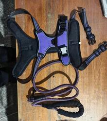 Arnés de pecho para perros, arnés de pecho anti-tracción para mascotas, chaleco acolchado ajustable para perros, chaleco de tela Oxford anti-ahogo para mascotas con asas fáciles de controlar, adecuado para perros grandes - Morado - Ver 18