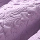 Morado