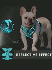 Reflective Pet Harness And Leash Set For Dog & Cat, Escape Proof Adjustable Small Dog Harness With Soft Mesh - Green - View 7