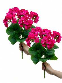 Rose vif