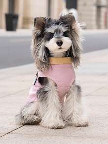 PETSIN Áo sơ mi chắp vá vui nhộn, quần áo cho chó, quần áo cho mèo, váy cho động vật, áo sơ mi mùa xuân và áo sơ mi cho chó, quần áo cho chó kiểu Anh, quần áo mới cho động vật nhỏ hai chân kiểu Châu Âu và Mỹ. - Hồng - Xem 7