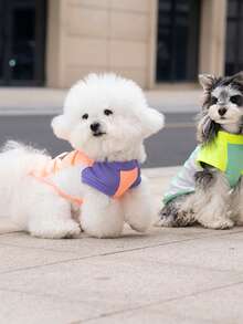 PETSIN 宠物春季新款狗狗服装 动物用品 宠物服装 狗狗背心 猫咪T恤 泰迪熊套装 小型动物服装 休闲酷炫背心 狗狗服装 猫咪服装 春夏两季新款背心 - 彩色 - 查看 12