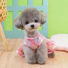 PETSIN 新款春季狗狗裙装、猫咪服装、可爱动物酷炫连衣裙、狗狗套装、新款春季裙子 - 彩色 - 查看 6