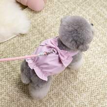 PETSIN 狗狗服装、猫咪服装、动物裙装、宠物春夏新品系列、幼犬连衣裙、公主风百搭连衣裙、条纹印花、小型动物服装、清凉防晒霜 - 彩色 - 查看 17