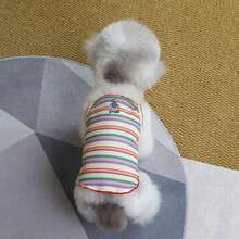 PETSIN Quần áo thú cưng mùa xuân mới, đồ dùng cho thú cưng, quần áo cho thú cưng, áo ba lỗ cho chó, áo thun cho mèo, trang phục cho gấu bông, trang phục cho động vật nhỏ, áo ba lỗ thường ngày mát mẻ, quần áo cho chó, quần áo cho mèo, áo ba lỗ hai mùa xuân hè mới. - Nhiều màu - Xem 15