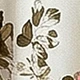 彩色