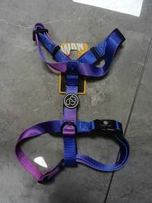 1pc Gradient Color Dog Harness, Small Dog Leash, Comfortable And Adjustable, Suitable For Outdoor Walks And Training For Small Dogs. - Multicolor - View 8