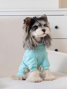 PETSIN 狗狗服装、猫咪服装、小型动物服装、春夏新品、猫咪服装、休闲服装、居家狗狗服装、小型动物连体衣 - 彩色 - 查看 10