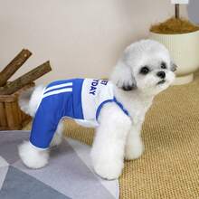 PETSIN Quần áo cho thú cưng, quần áo cho chó, quần áo cho mèo, quần yếm thường ngày, quần yếm mới cho động vật nhỏ mùa xuân và mùa hè, bộ áo liền quần có khóa kéo, đồ dùng cho thú cưng, quần yếm thường ngày - Nhiều màu - Xem 11