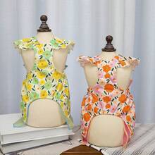 PETSIN 狗狗服装、猫咪服装、动物裙装、宠物春夏新品系列、幼犬连衣裙、公主风百搭连衣裙、条纹印花、小型动物服装、清凉防晒霜 - 彩色 - 查看 8