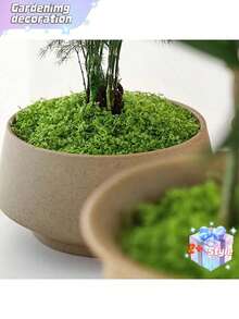 1 pieza de 100g de musgo artificial adecuado para decoración del hogar, arreglos paisajísticos en miniatura, miniaturas de césped, plantas en macetas y decoración de paisajismo para el Día de San Valentín, boda de San Valentín, cumpleaños - Verde - Ver 11