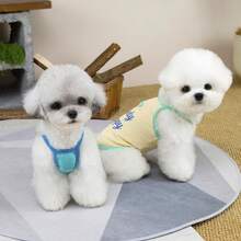 PETSIN Quần áo thú cưng mùa xuân mới, đồ dùng cho thú cưng, quần áo cho thú cưng, áo ba lỗ cho chó, áo thun cho mèo, trang phục cho gấu bông, trang phục cho động vật nhỏ, áo ba lỗ thường ngày mát mẻ, quần áo cho chó, quần áo cho mèo, áo ba lỗ hai mùa xuân hè mới. - Nhiều màu - Xem 9