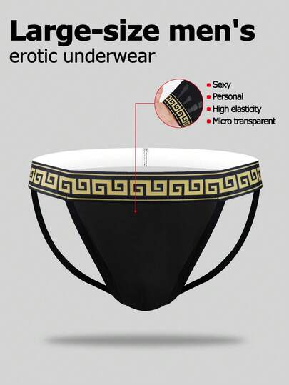 Plus Size Men's Hollow Out Geometric Waistband Sexy Briefs