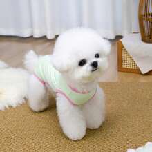 PETSIN Quần áo cho thú cưng, quần áo cho chó, quần áo cho mèo, quần yếm thường ngày, quần yếm mới cho động vật nhỏ mùa xuân và mùa hè, bộ áo liền quần có khóa kéo, đồ dùng cho thú cưng, quần yếm thường ngày - Nhiều màu - Xem 10