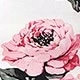 彩色
