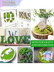 1 pieza de 100g de musgo artificial adecuado para decoración del hogar, arreglos paisajísticos en miniatura, miniaturas de césped, plantas en macetas y decoración de paisajismo para el Día de San Valentín, boda de San Valentín, cumpleaños - Verde - Ver 9