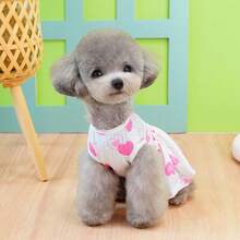 PETSIN 新款春季狗狗裙装、猫咪服装、可爱动物酷炫连衣裙、狗狗套装、新款春季裙子 - 彩色 - 查看 5