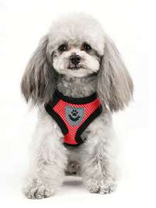 Bộ dây dắt và đai đeo cho chó mèo - Dây đeo ngực điều chỉnh được chống thoát hiểm và áo vest có dây an toàn, đai lưới thoáng khí cho chó và mèo cỡ nhỏ và vừa, bộ dụng cụ huấn luyện đi dạo an toàn. - Đỏ - Xem 3