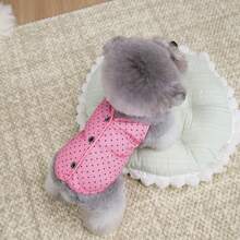 PETSIN 宠物春季新款狗狗服装 动物用品 宠物服装 狗狗背心 猫咪T恤 泰迪熊套装 小型动物服装 休闲酷炫背心 狗狗服装 猫咪服装 春夏两季新款背心 - 彩色 - 查看 17