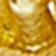 Dorado