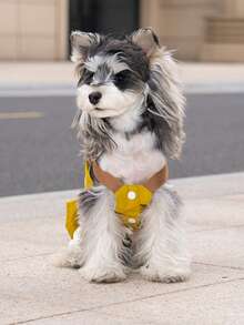 PETSIN 狗狗服装、猫咪服装、小型动物服装、春夏新品、猫咪服装、休闲服装、居家狗狗服装、小型动物连体衣 - 彩色 - 查看 5