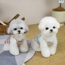 PETSIN Quần áo thú cưng mùa xuân mới, đồ dùng cho thú cưng, quần áo cho thú cưng, áo ba lỗ cho chó, áo thun cho mèo, trang phục cho gấu bông, trang phục cho động vật nhỏ, áo ba lỗ thường ngày mát mẻ, quần áo cho chó, quần áo cho mèo, áo ba lỗ hai mùa xuân hè mới. - Nhiều màu - Xem 10