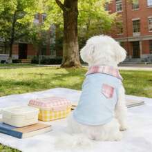 PETSIN Bộ đồ đôi phong cách Preppy kẻ caro hồng và xanh dương cho thú cưng, gồm váy xếp ly cổ búp bê và áo vest có túi dành cho mèo và chó, thích hợp cho mùa xuân/hè. - Nhiều màu - Xem 7