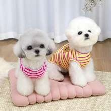 PETSIN 宠物春季新款狗狗服装 动物用品 宠物服装 狗狗背心 猫咪T恤 泰迪熊套装 小型动物服装 休闲酷炫背心 狗狗服装 猫咪服装 春夏两季新款背心 - 彩色 - 查看 12