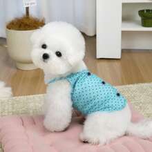 PETSIN 宠物春季新款狗狗服装 动物用品 宠物服装 狗狗背心 猫咪T恤 泰迪熊套装 小型动物服装 休闲酷炫背心 狗狗服装 猫咪服装 春夏两季新款背心 - 彩色 - 查看 18