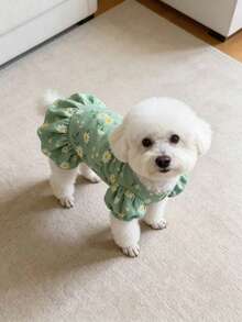 PETSIN Váy mùa xuân mới và váy cho chó, quần áo cho mèo, váy thú cưng dễ thương, trang phục cho chó, váy mùa xuân mới. - Nhiều màu - Xem 6