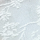 Albaricoque