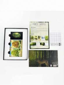 Forest Shuffle - Trò chơi để bàn hoàn toàn bằng tiếng Anh - Bộ cờ vua - Trò chơi dành cho 2-5 người chơi, hoàn hảo cho các bữa tiệc và đêm chơi game - Món quà hoàn hảo cho các dịp lễ hội, trò chơi bài chiến đấu. - Nhiều màu - Xem 4