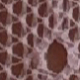 粉