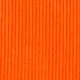 Coral Orange
