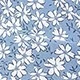 Blue and White