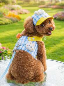 PETSIN 原创春夏猫/宠物包/蕾丝款，狗/猫宠物服装，狗用品，户外服装 - 彩色 - 查看 2