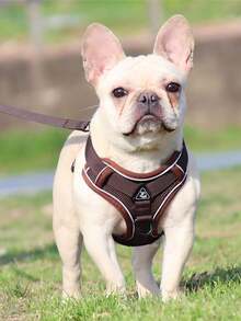 Bộ dây đeo và dây dẫn phản quang cho chó và mèo, dây đeo cho chó nhỏ có thể điều chỉnh, chống thoát hiểm, chất liệu lưới mềm mại. - Cà phê nâu - Xem 3