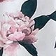 彩色
